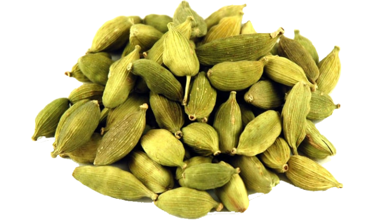 Cardamom revealed as ‘Superfood’: look at Unveils wide-ranging health and dietary advantages