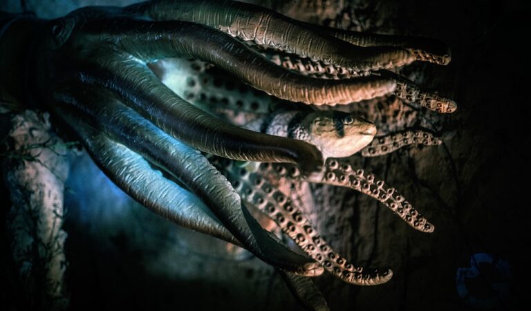 The discovery of a 20-armed Sea Monster in Antarctica and the Mysteries of the Deep