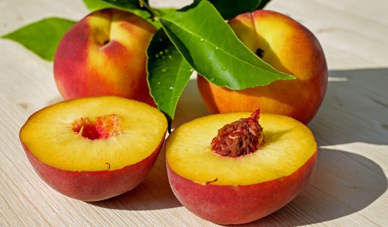 Exploring the Unexpected Health Benefits and Versatile Uses of Peaches