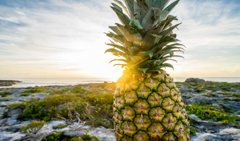Pineapple Power: A Tropical Treasure for Your Health