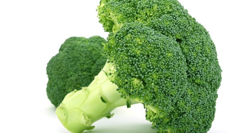 Broccoli: A Nutritional Powerhouse