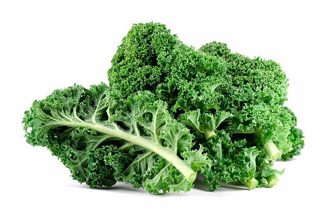 Kale: The Nutrient Powerhouse You Need in Your Diet