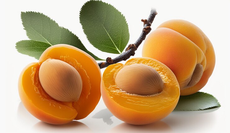 Apricots: Nature’s Sweet Gift of Flavor and Health