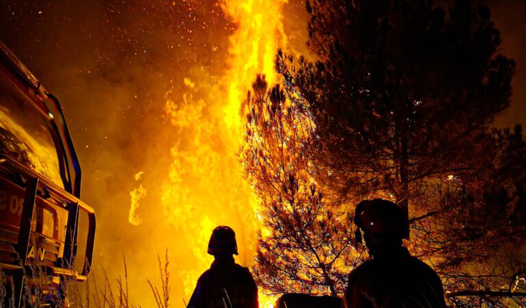 Controversy Stirs as ACT Anticipates Average Bushfire Risk
